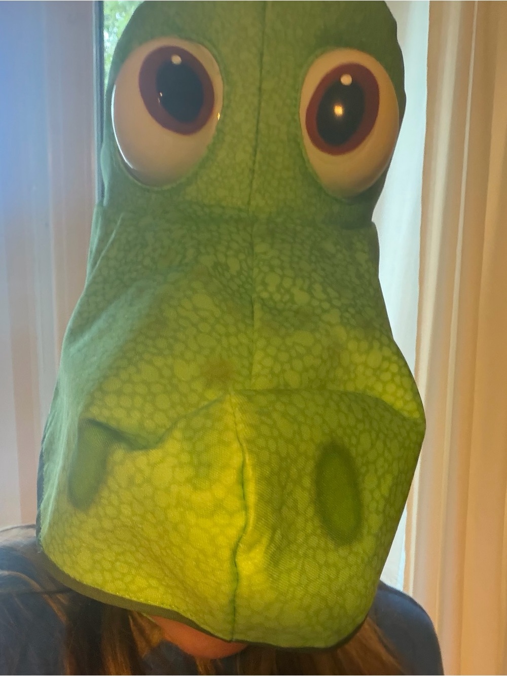 Arlo Disney Good Dinosaur Hat - Picture 2 of 2